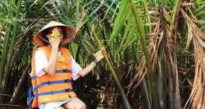 Rừng dừa bảy mẫu ở đâu, giá vé bao nhiêu, đi thế nào? Rừng dừa bảy mẫu – Hội An