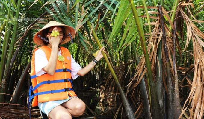 Rừng dừa bảy mẫu ở đâu, giá vé bao nhiêu, đi thế nào? Rừng dừa bảy mẫu – Hội An